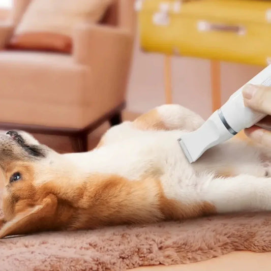 Purely Paws™ 4-in-1 Pet Grooming Kit: Electric Hair Trimmer