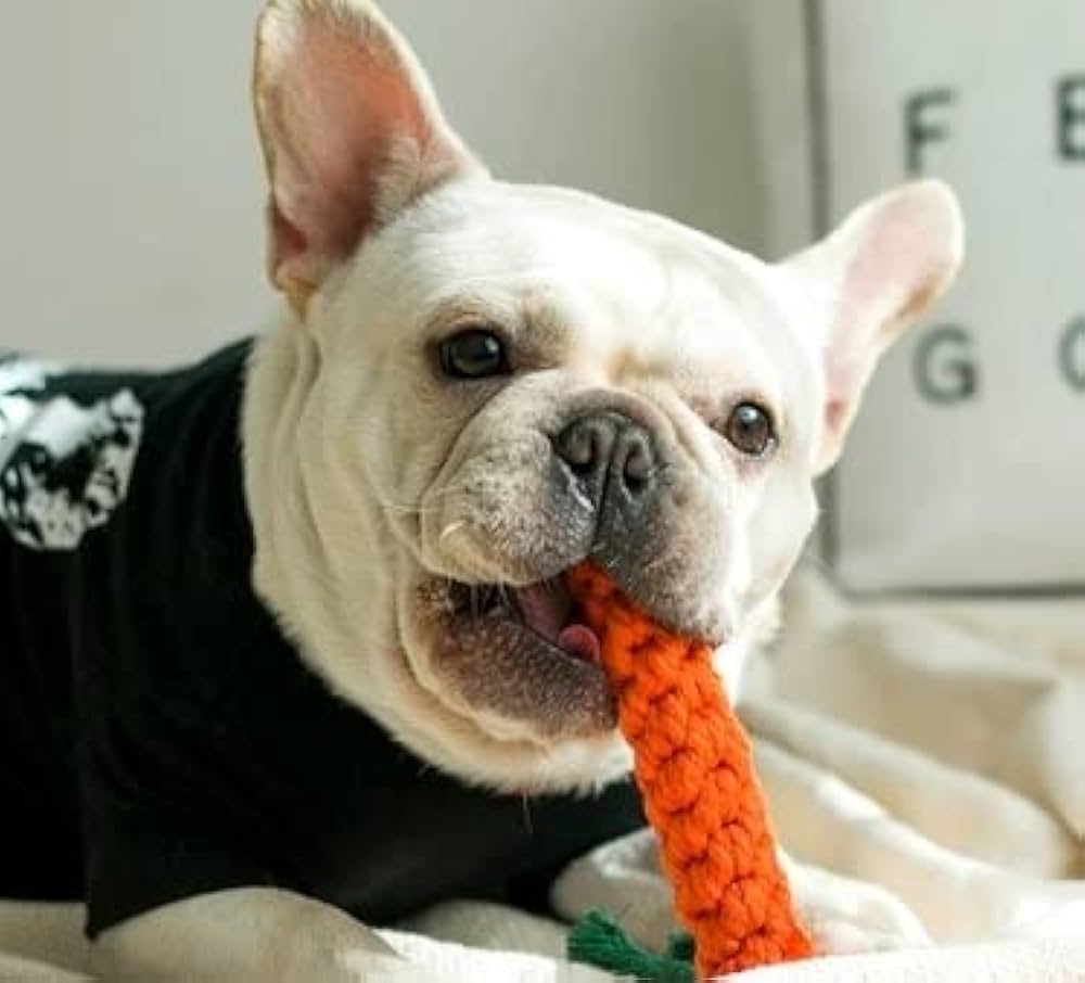 Purely Paws™ Pet Toy Carrot Knot