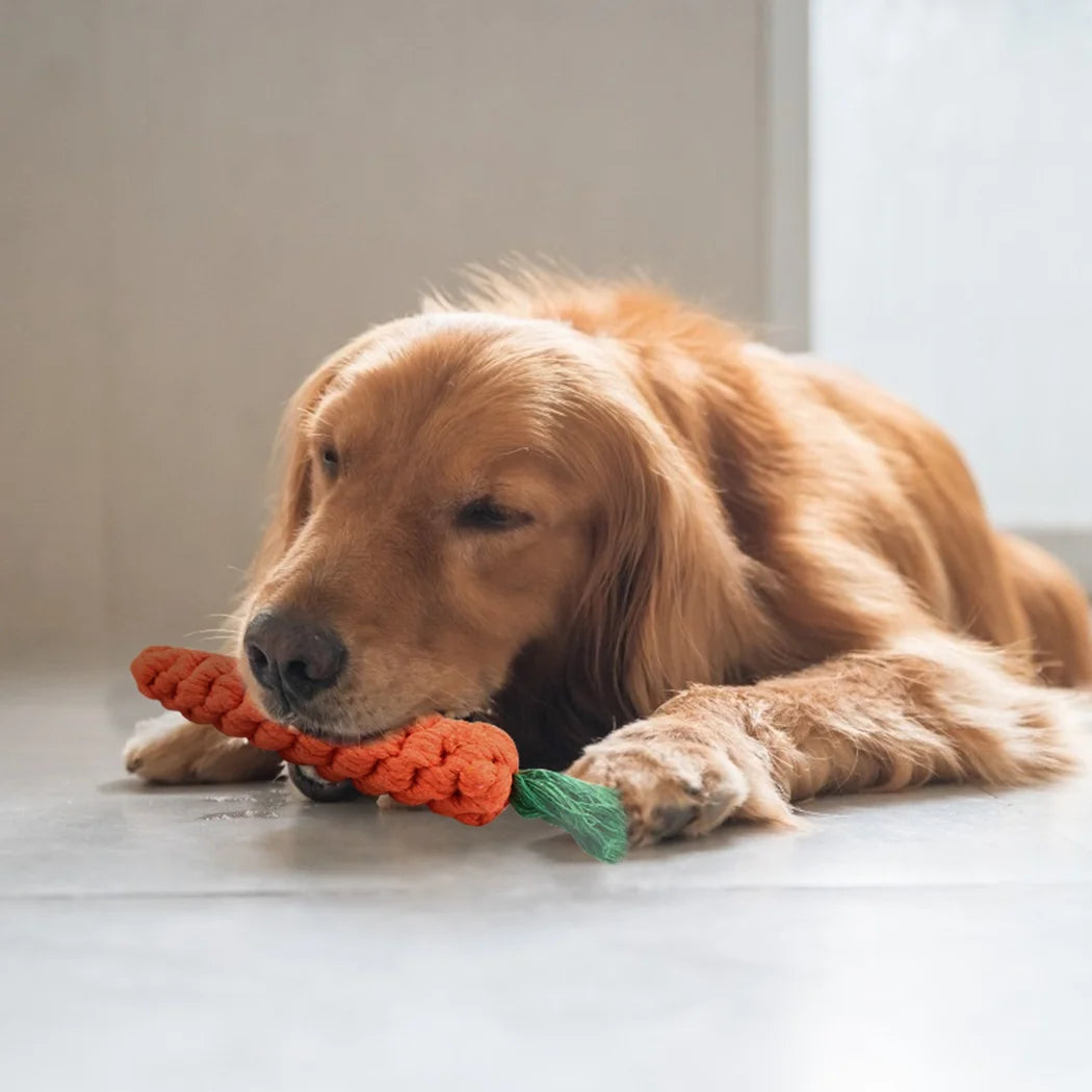 Purely Paws™ Pet Toy Carrot Knot