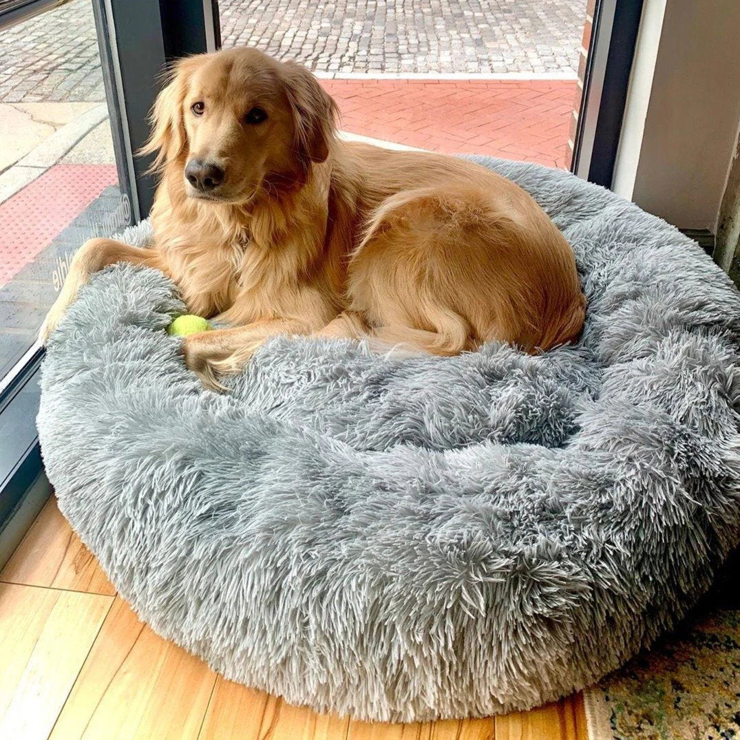 Purely Paws™ Pet Calming Bed