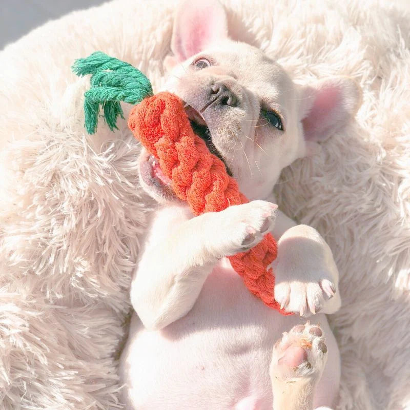 Purely Paws™ Pet Toy Carrot Knot