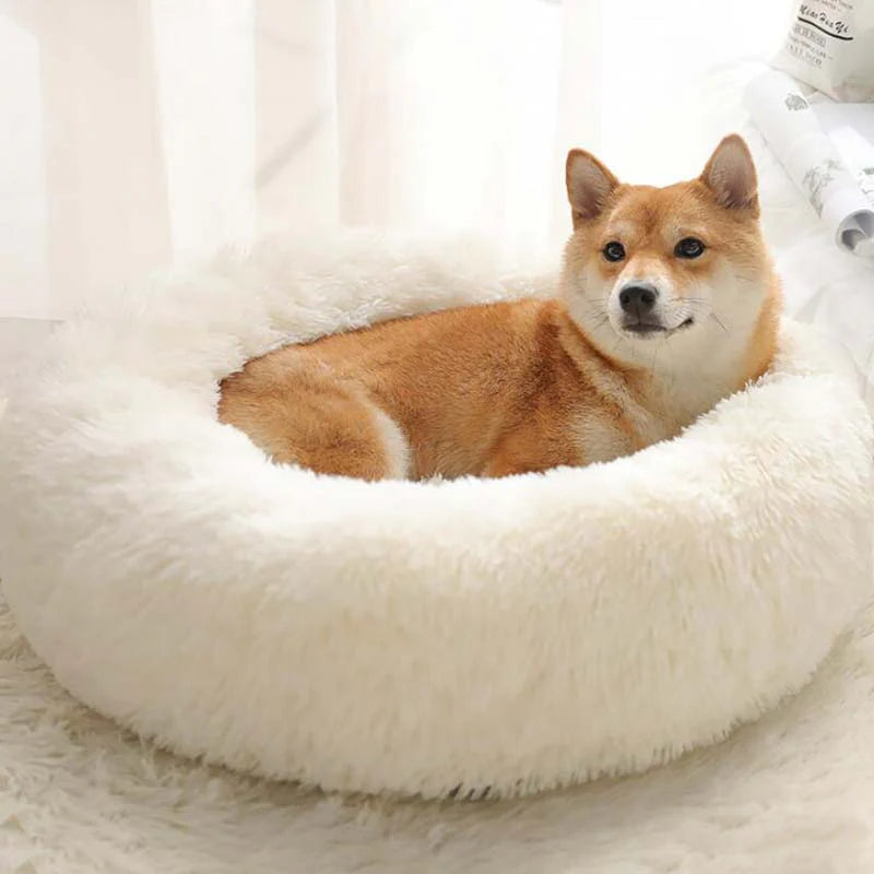 Purely Paws™ Pet Calming Bed