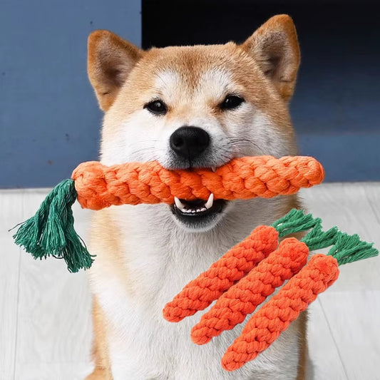 Purely Paws⢠Pet Toy Carrot Knot