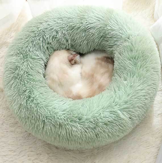 Purely Paws™ Pet Calming Bed