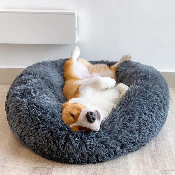 Purely Paws™ Pet Calming Bed