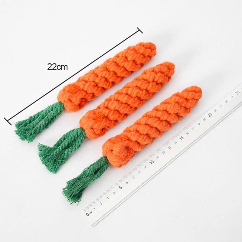 Purely Paws™ Pet Toy Carrot Knot