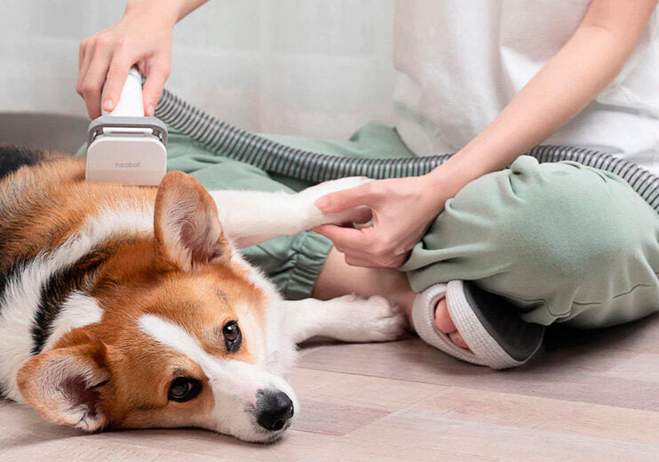 Purely Paws™ Advanced Pro 7-in-1 All-Inclusive Pet Grooming Kit