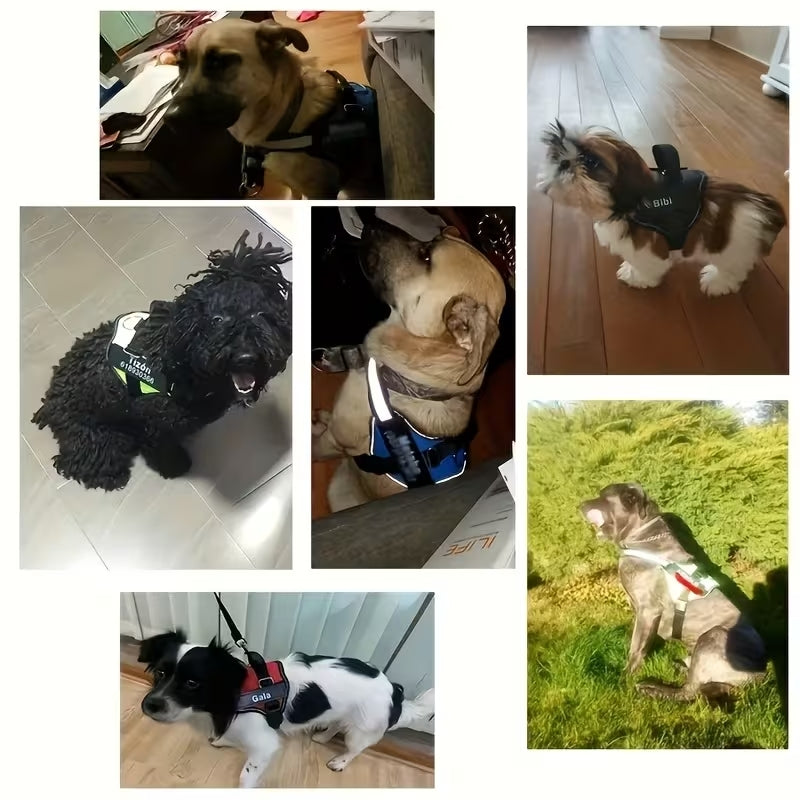 Personalized No Pull Dog Harness