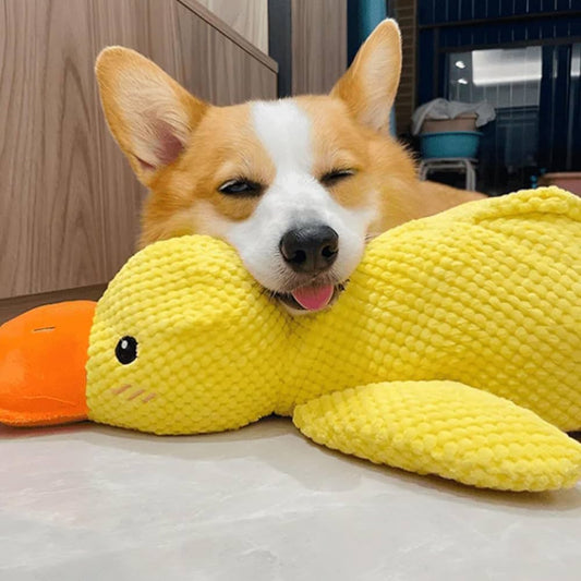 Purely Paws™ The Calming Duck