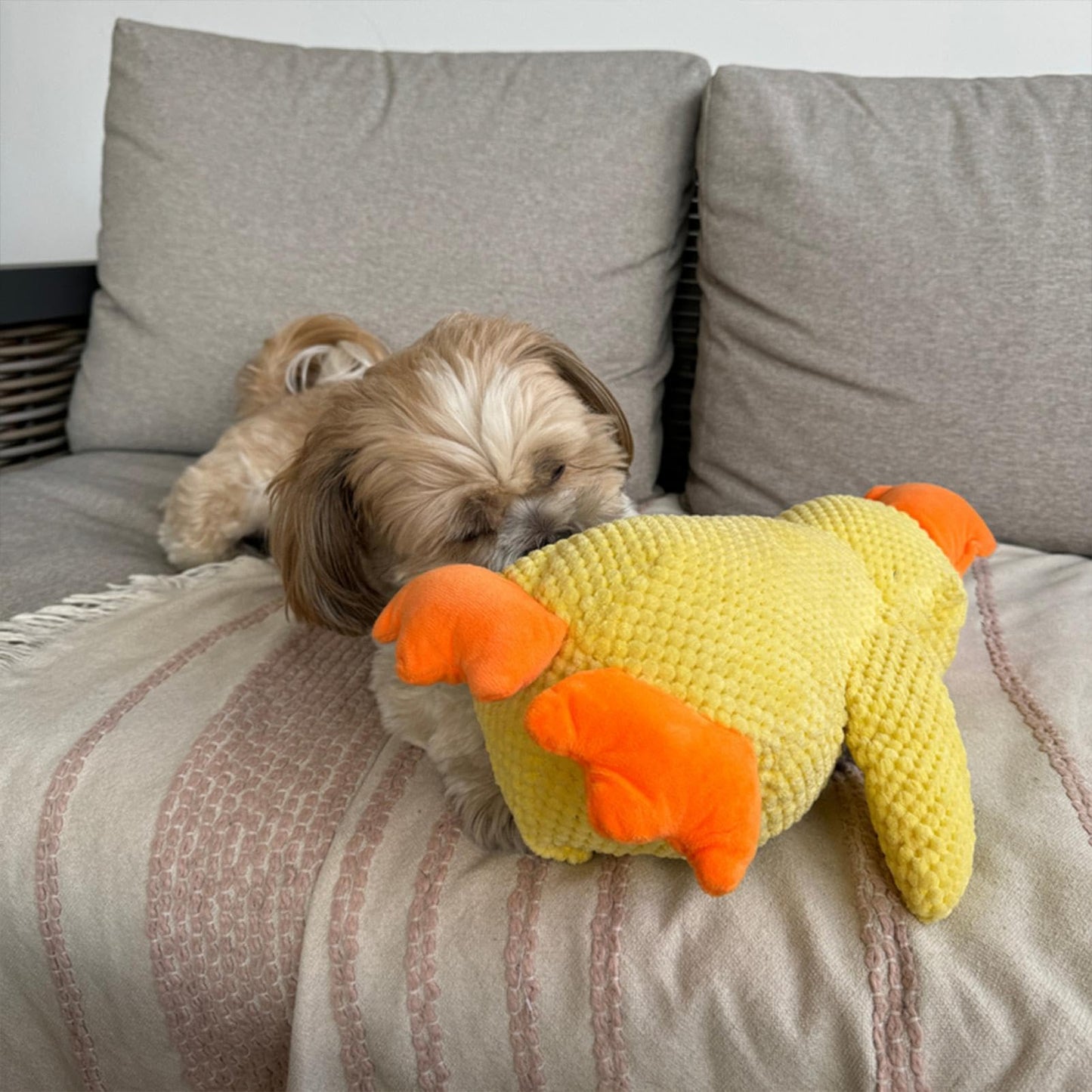 Purely Paws™ The Calming Duck