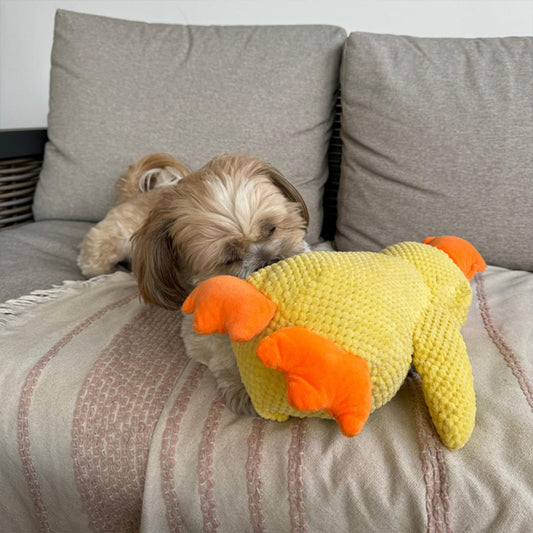 Purely Paws™ The Calming Duck