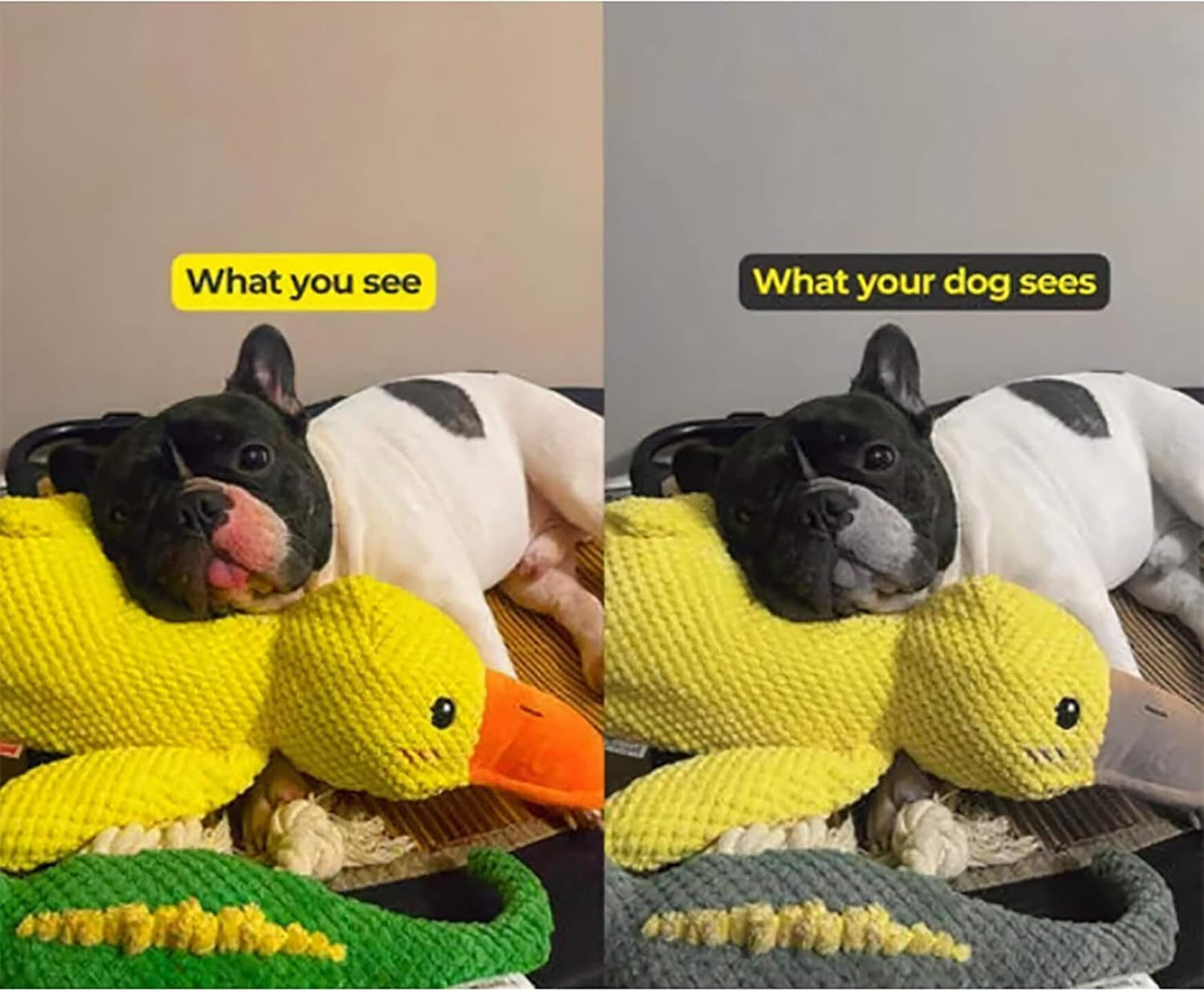 Purely Paws™ The Calming Duck