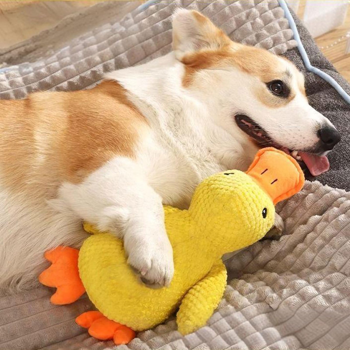 Purely Paws™ The Calming Duck