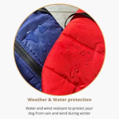 Winter Dog Jacket with Built-In Harness | Warm & Waterproof