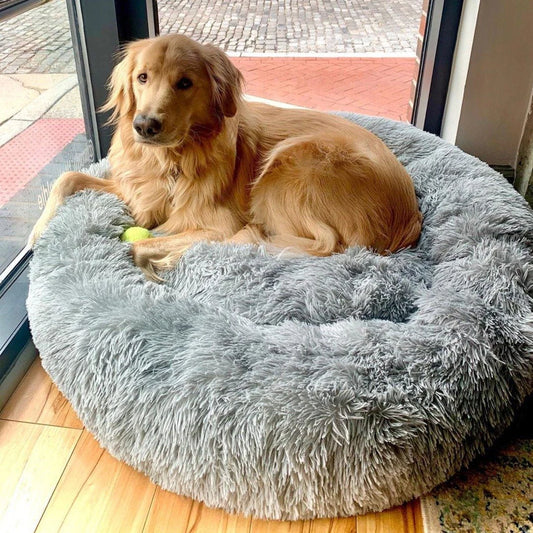 Purely Paws™ Pet Calming Bed