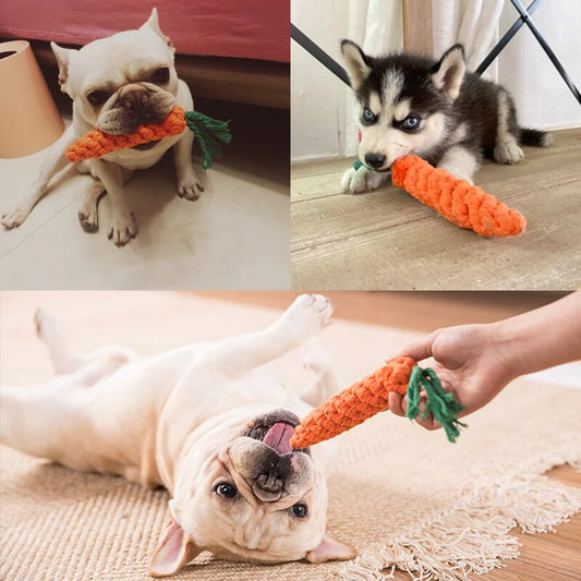 Purely Paws™ Pet Toy Carrot Knot