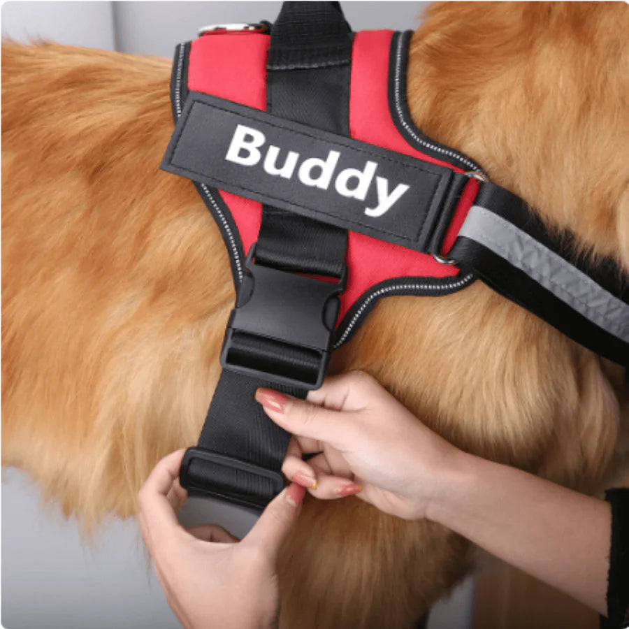 Personalised No Pull Dog Harness