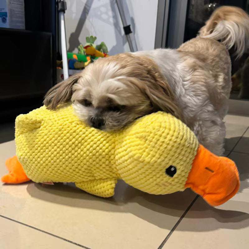 Purely Paws™ The Calming Duck