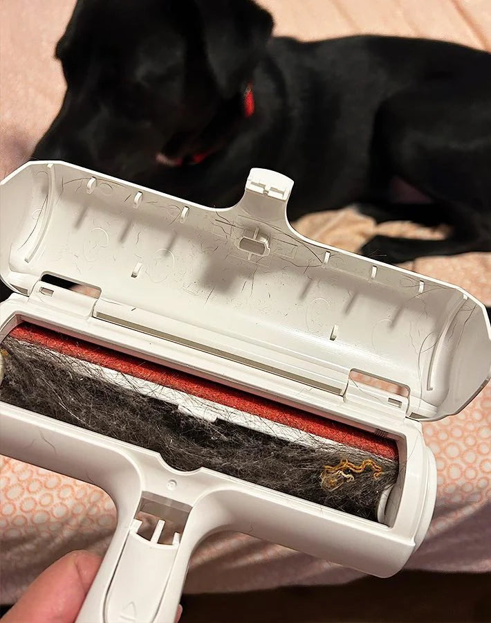 Purely Paws™ Pet Hair Remover - Reusable Brush