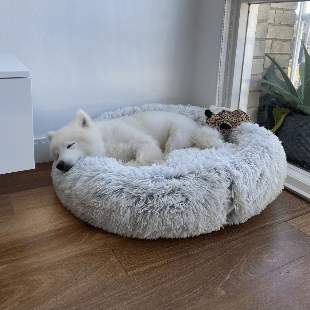 Purely Paws™ Pet Calming Bed