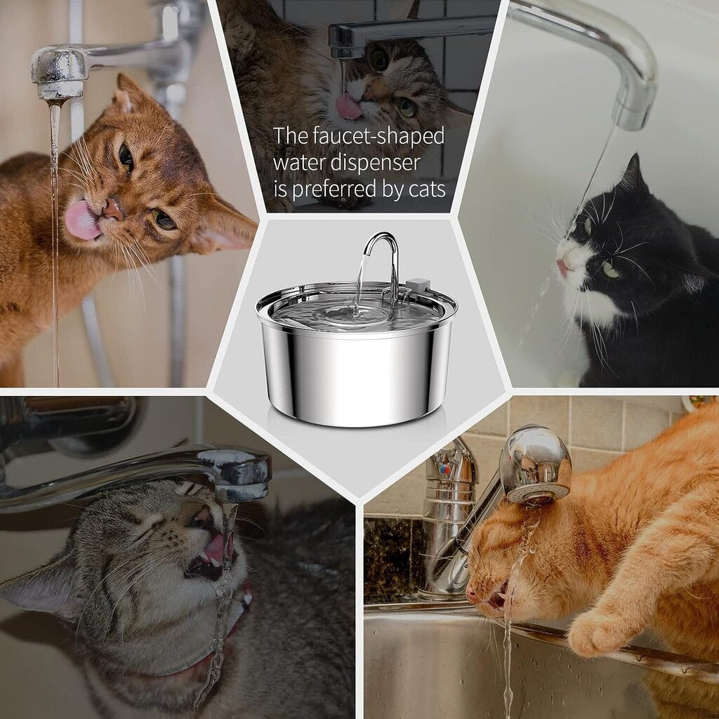 Purely Paws™ Pet Filtered Water Fountain