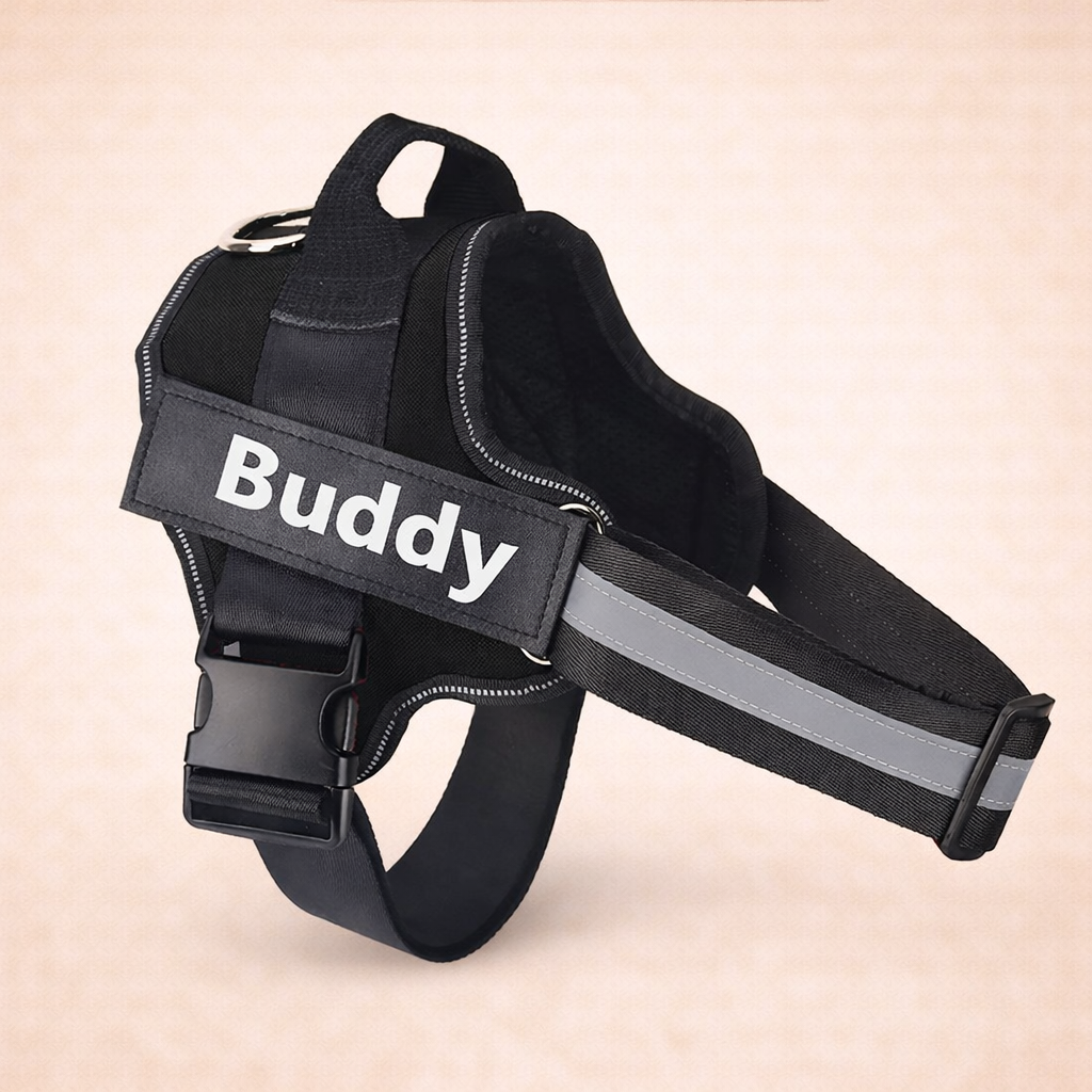 Personalised No Pull Dog Harness