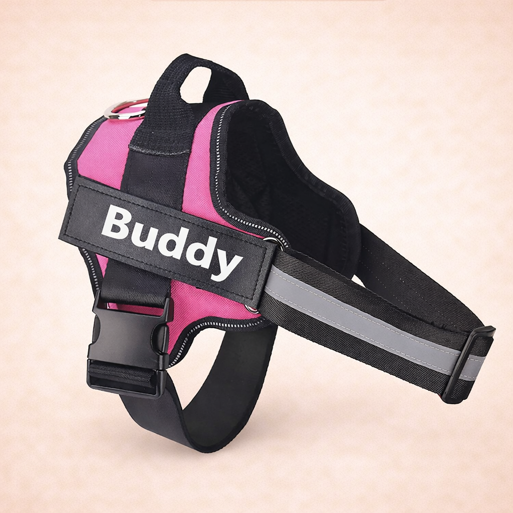 Personalised No Pull Dog Harness