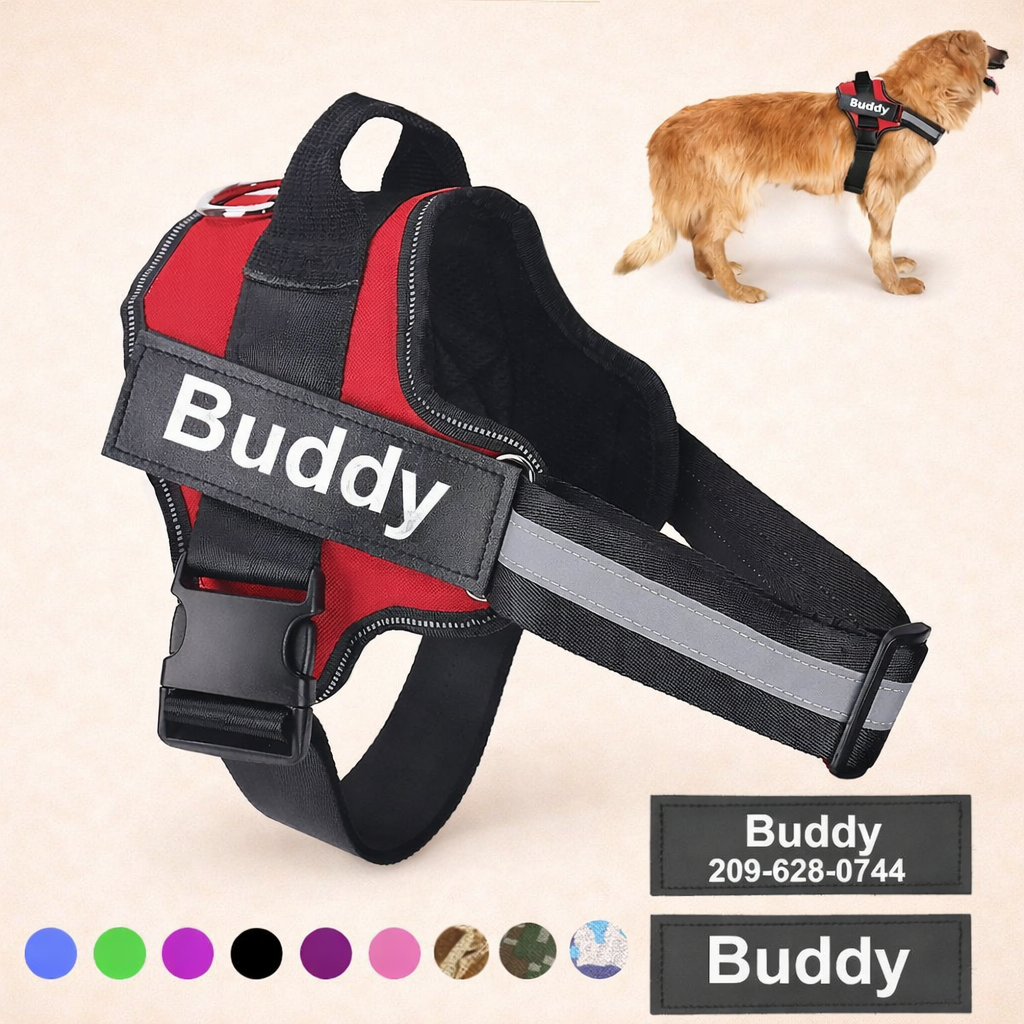 Personalised No Pull Dog Harness
