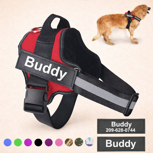 Personalised No Pull Dog Harness