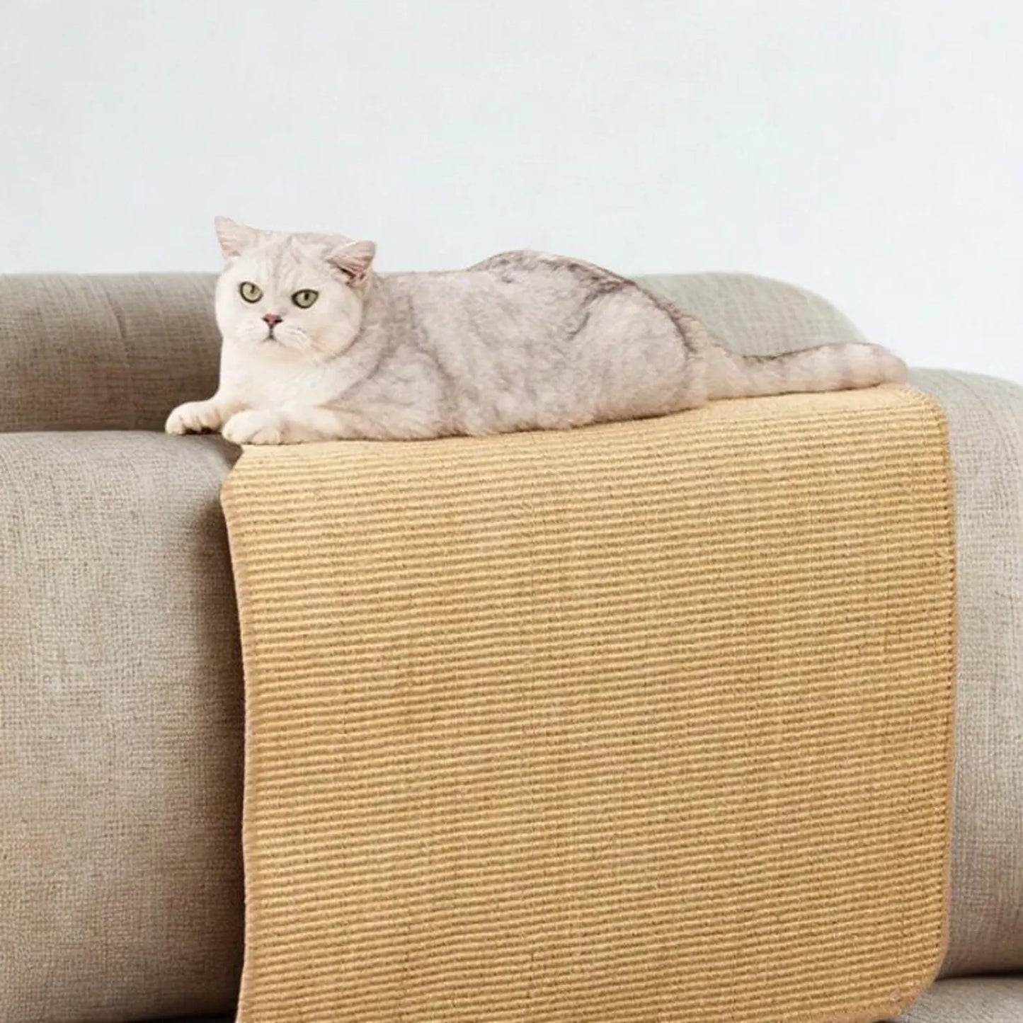 Purely Paws™ Sisal Guard: Natural Wall & Furniture Protector