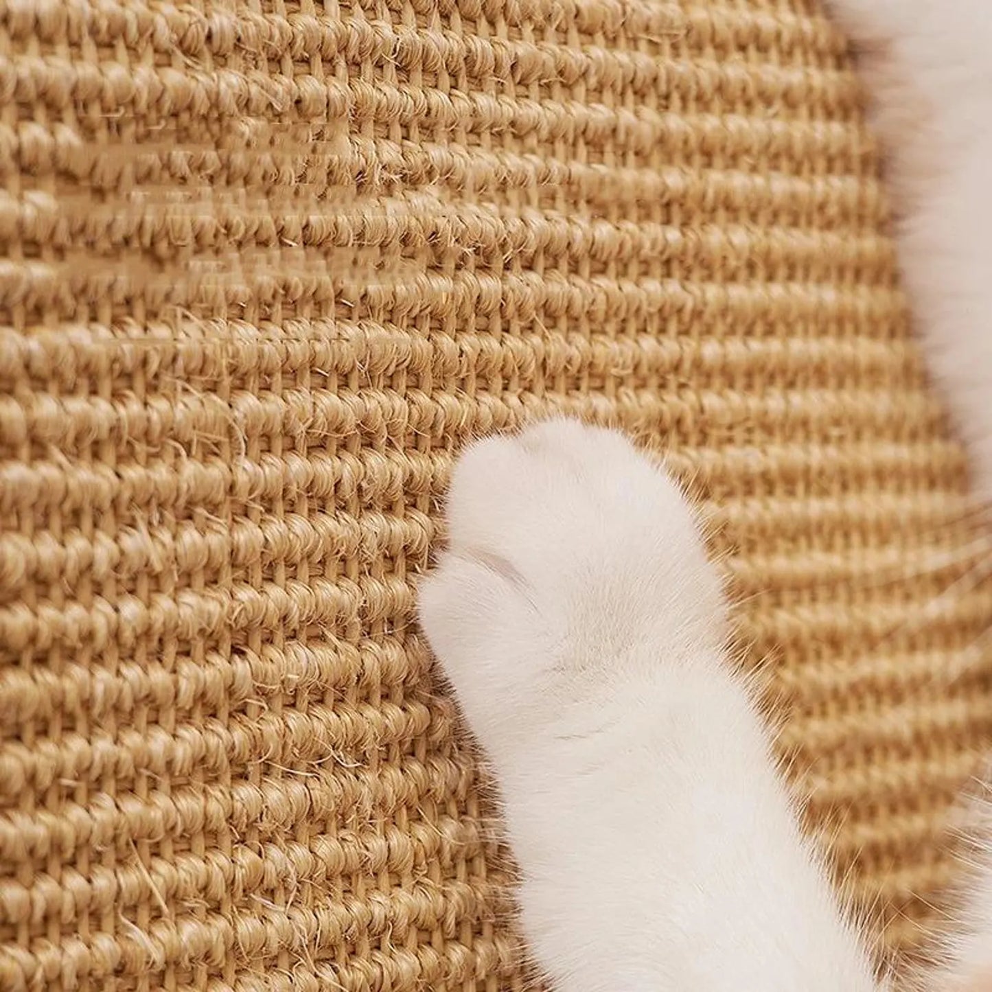 Purely Paws™ Sisal Guard: Natural Wall & Furniture Protector