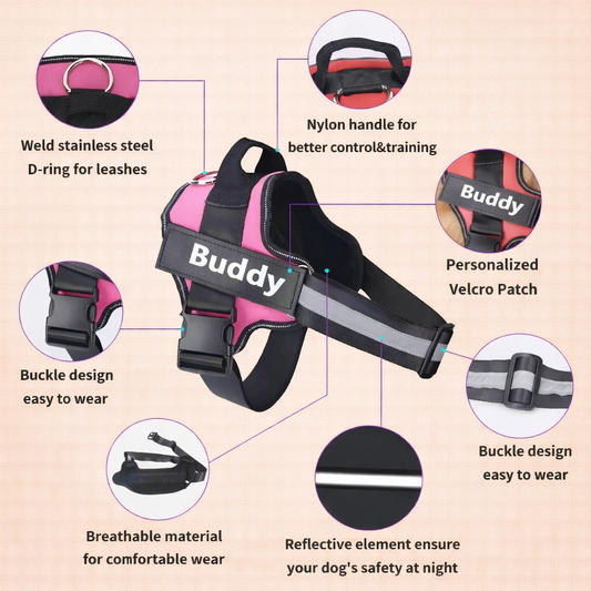 Personalised No Pull Dog Harness