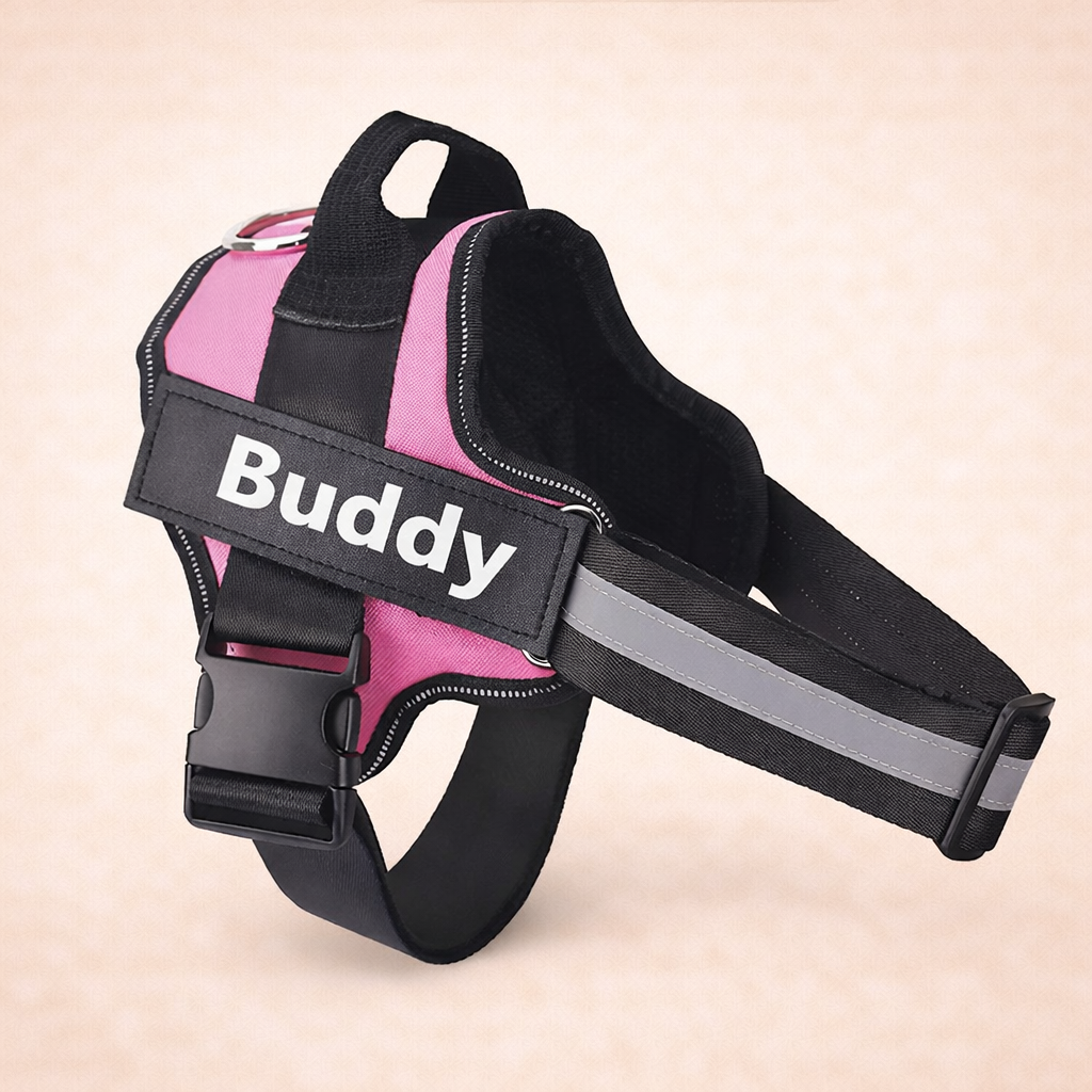 Personalised No Pull Dog Harness