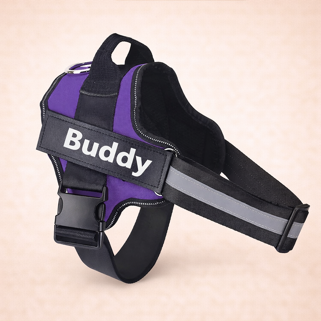 Personalised No Pull Dog Harness