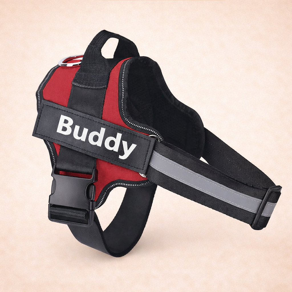 Personalised No Pull Dog Harness