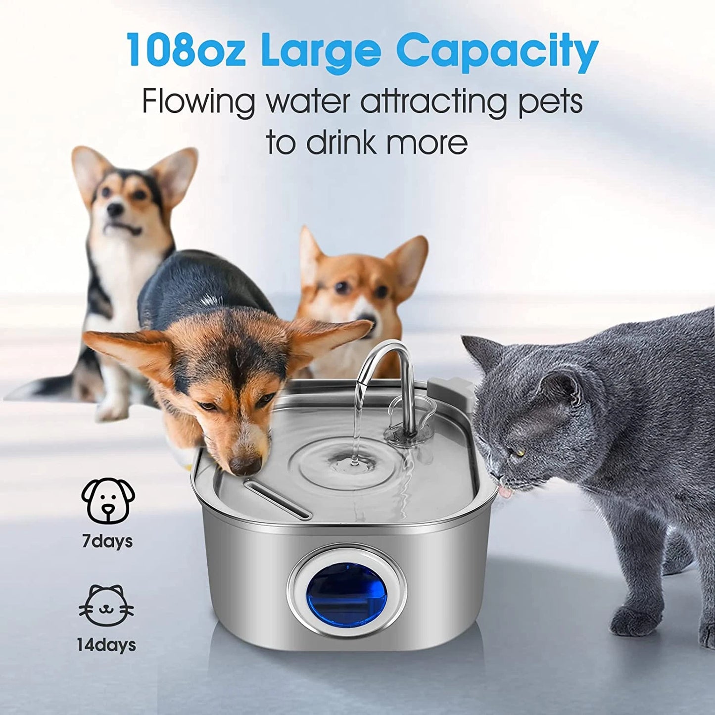 Purely Paws™ Pet Filtered Water Fountain