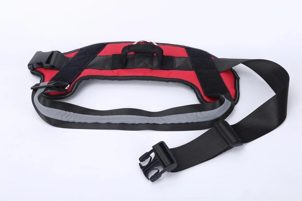Personalized No Pull Dog Harness