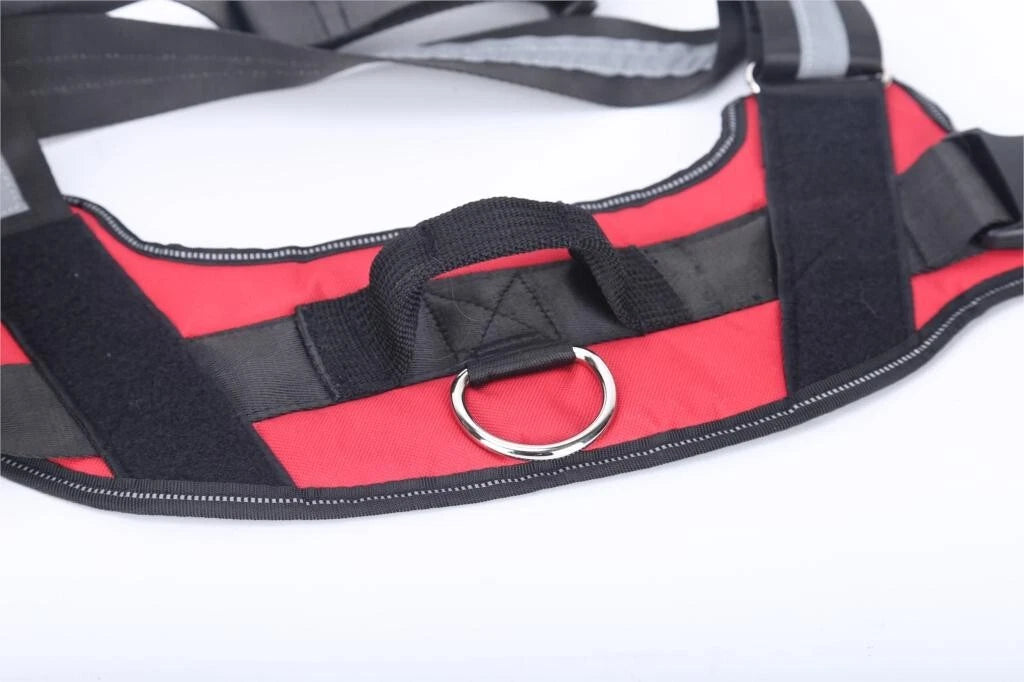 Personalized No Pull Dog Harness